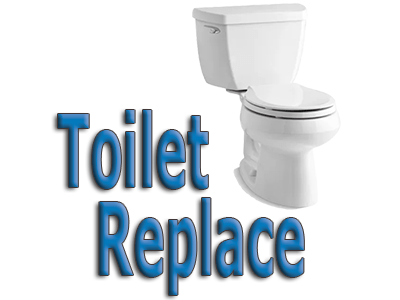 Toilet Replace