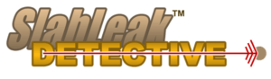 Slableak detective