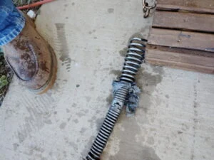 Drain cable pulled from a stopped drain line in Burleson, TX, wrapped in cloth-like debris